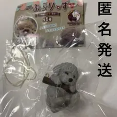 ぶらりーず トイプードル　ガチャ　シルバー