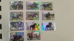 競馬 サラブレッドホースコレクションウエハースノーマル 11枚セット