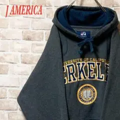 【希少】J AMERICA カレッジロゴ　スウェット　刺繍　グレー　M