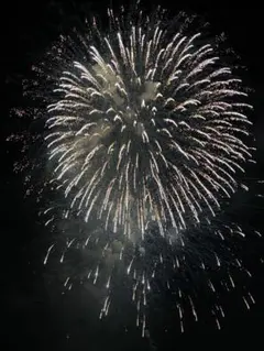 ともみん⭐︎様専用