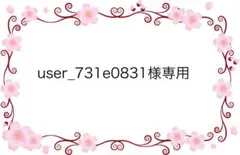 user_731e0831様 リクエスト 2点 まとめ商品