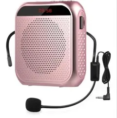 Item thumbnail for item 5c892159-01e7-442f-aeed-ad563749c25f