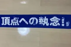 ベイスターズ応援タオル 頂点への執念