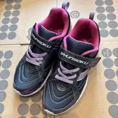 Item thumbnail for item 4fac5ed2-e74b-4db0-a08e-6f7d4b88ec4e