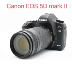 2025年最新】canon eos 5d mark ii レンズの人気アイテム - メルカリ