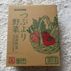 カゴメ畑のごほうび野菜ジュース 缶30本セット - メルカリ