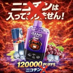 BANGLEADER ☆ニコ☆パフ 120000パフ ニコチン0正規品