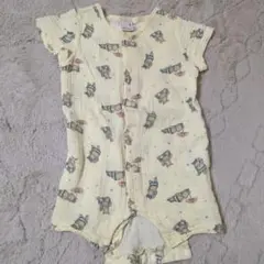 Item thumbnail for item 04849186-e0a3-4cb2-9dfe-84d4fd11632b