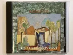 AZYMUTH / TUDO BEM 【ALFA盤CD】アジムス