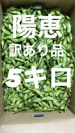 49 訳あり品 枝豆 神風香 5キロ 有機肥料 - メルカリ