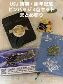 2026年最新】ピンバッチ usj 5周年の人気アイテム - メルカリ