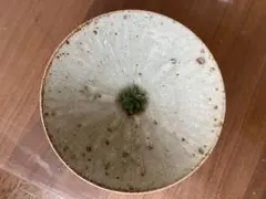 2026年最新】宮城正幸 宮城陶器の人気アイテム - メルカリ