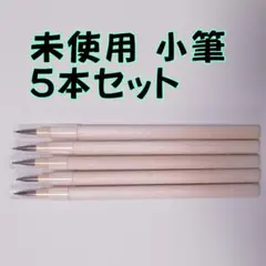 未使用 筆 5本セット 歯科 レジン 工作 工芸