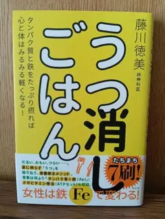 うつ消しごはん