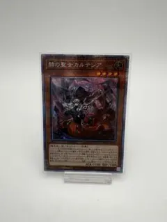 2026年最新】カルテシア プリシクの人気アイテム - メルカリ