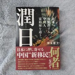 潤日(ルンリィー) : 日本へ大脱出する中国人富裕層を追う