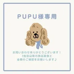 PUPU様 リクエスト 2点 まとめ商品