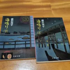 藤沢周平 海鳴り 上下巻 セット 文庫本 時代小説 2冊セット