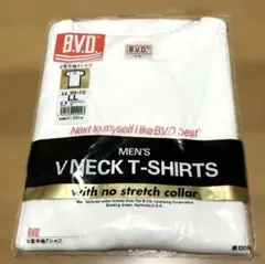 Item thumbnail for item be445d36-2747-4623-b909-c1684b464ad0