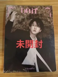 Straykids スキズ DoiT アコーディオン 未開封