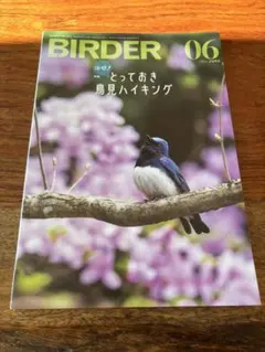 美品】BIRDER 2023年6月号 ムシクイ類完全攻略ガイド - メルカリ