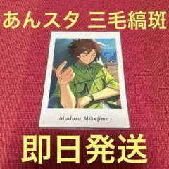 P.A.shots!! ぱしゃっつvol.6 Private 三毛縞斑