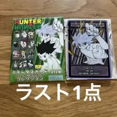 3点 新品未開封 ハンターハンター ステータスカードコレクション