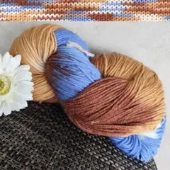 ⑩ソックヤーン 毛糸 手染め 編物 編み物 糸 手染め毛糸 250g