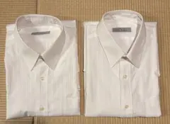 ホワイト ストライプ 半袖ワイシャツ 2着