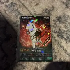 プロ野球スピリッツA　カード　柳田悠岐　キラ　金箔サイン
