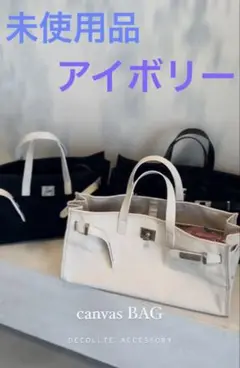 【完売新品】デコルアクセサリーdecollteaccessoryキャンバスバッグ