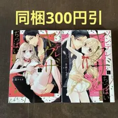 ツンデレヤクザとちっぱいちゃん : コワモテ極道の溺愛飼育 1.2