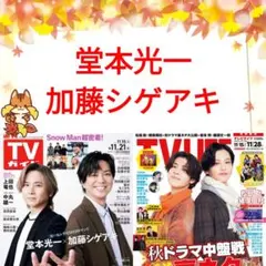 堂本光一 加藤シゲアキ TVガイド 11/21号 切り抜き ②