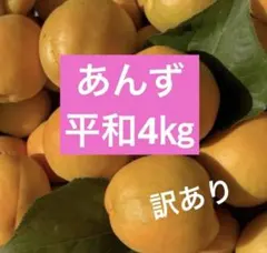 2026年最新】信州産あんずの人気アイテム - メルカリ