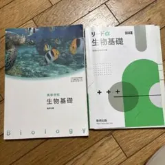 高校生用 教科書・問題集2冊セット
