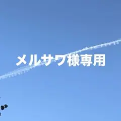 メルサワ様 リクエスト 2点 まとめ商品