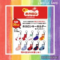 ⭐️ホカロン⭐️靴下デザインキーホルダー Avail ノベルティ 非売品 新品未開封