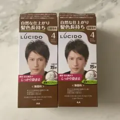 LUCIDO ワンプッシュケアカラー 4 ライトブラウン 2個セットのサムネイル