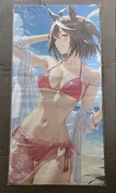 プレイマット ビキニのキャラクター