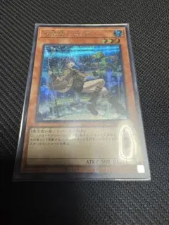【遊戯王】　水霊使いエリア　シークレット　絵違い 遊戯王 水霊使いエリア シークレットレア1枚 絵違い - メルカリ