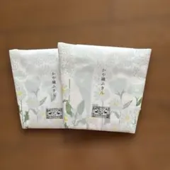 Item thumbnail for item 0d9ffff6-7658-42c8-8567-47659b6d8433