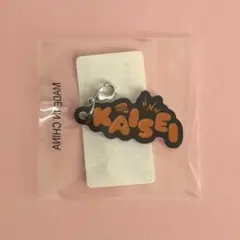 THE RAMPAGE 武知海青 ネームアクリルチャーム