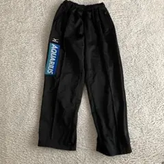 Mizuno スケート　日本代表　ウエア　試着のみ　　 サイズＬ