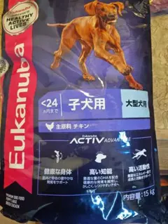 Eukanuba FIT BODY 体重管理中型犬用 15kg ユーカヌバ ラージ フィット