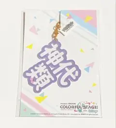 プロセカ 立体ネームアクキー アクリルキーホルダー 神代類 類 ネーム