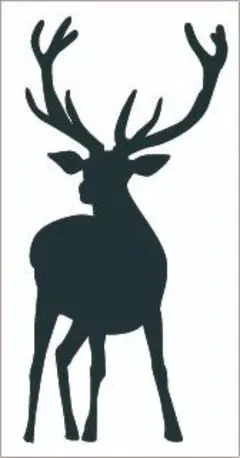 Item thumbnail for item 8beee2af-7c78-4aa4-a865-e3a3960e1ece