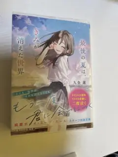 最後の夏は、きみが消えた世界