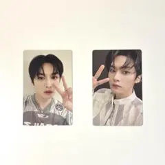 Stray kids リノ トレカ