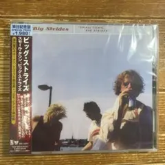 スモール・タウン,ビッグ・ストライズ