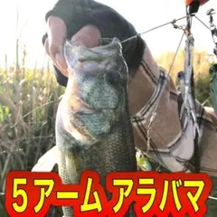 ハビタン様専用 79★アラバマリグ★バマスト フィッシュローラーアラバマ